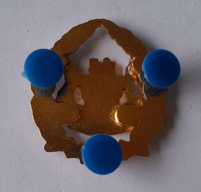 SA Prison Services Warrant Officer Rank Badge.