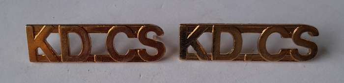 Pair SA Correctional Service Brass Shoulder Title.  Pins Intact.