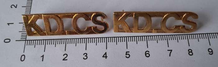 Pair SA Correctional Service Brass Shoulder Title.  Pins Intact.