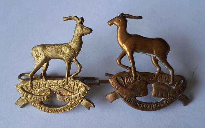 Pair SA Army Pretoria Regiment Collar Badges. Lugs Intact.