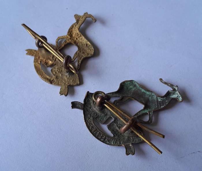 Pair SA Army Pretoria Regiment Collar Badges. Lugs Intact.