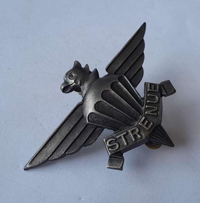 SADF 3 Parachute Battalion Beret Badge.  Screw Lugs Intact.