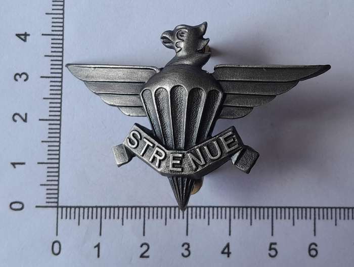 SADF 3 Parachute Battalion Beret Badge.  Screw Lugs Intact.