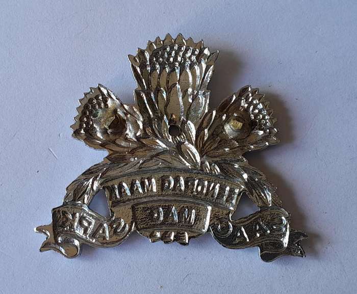 South African Armoured Corps Cap Badge.  No Lugs.