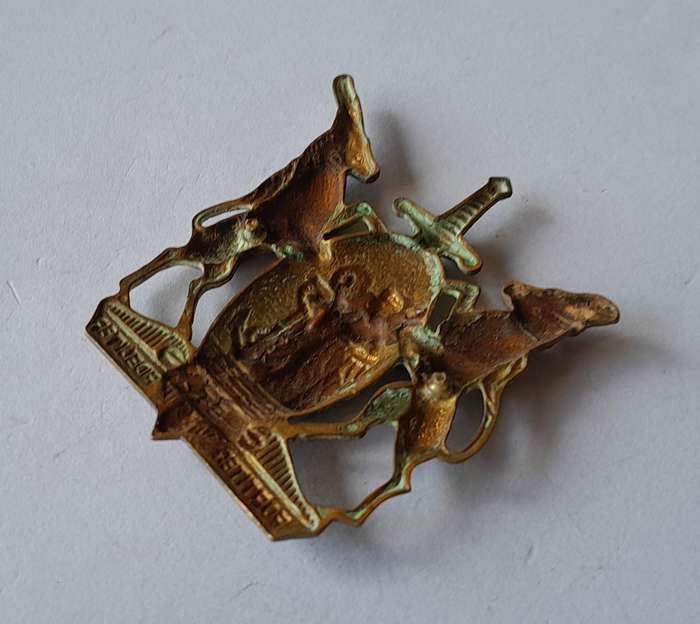 SADF Coloured Corps Cap Badge.  No Lugs.