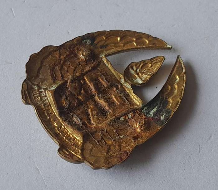 SADF Gymnasium Collar Badge.  No Lugs.