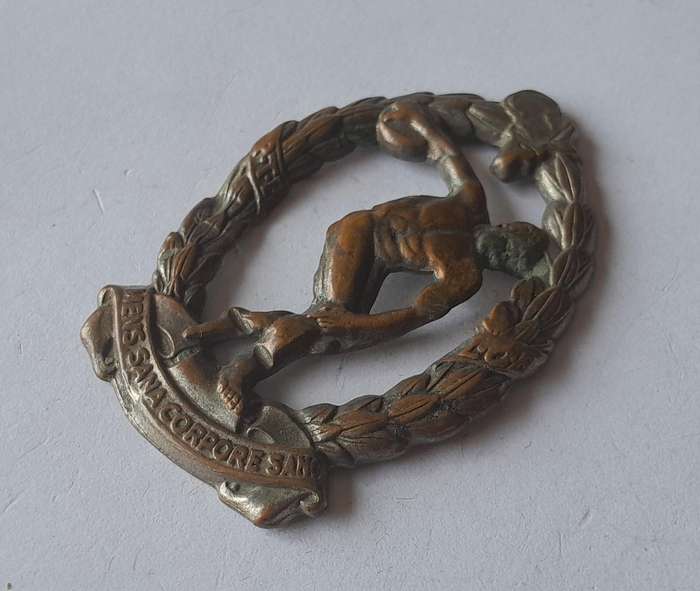 WW2 SA Army Physical Training Brigade Cap Badge.  No Lugs.