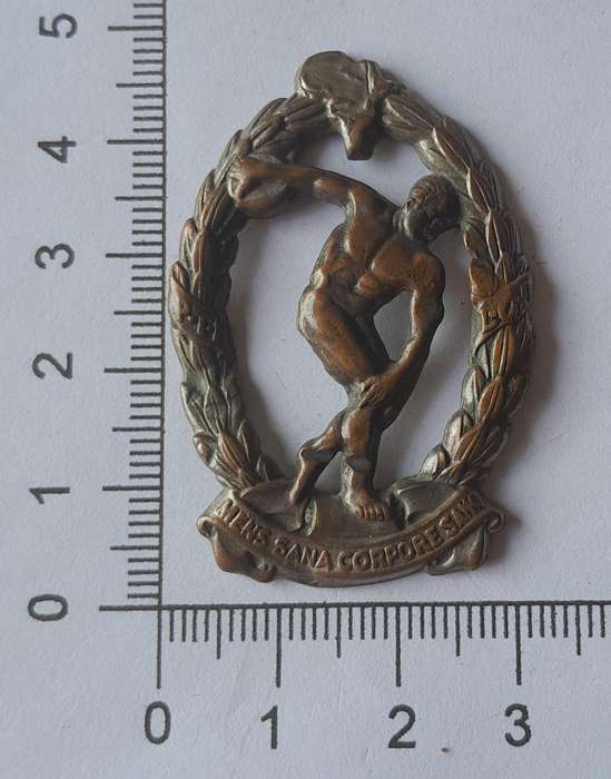 WW2 SA Army Physical Training Brigade Cap Badge.  No Lugs.