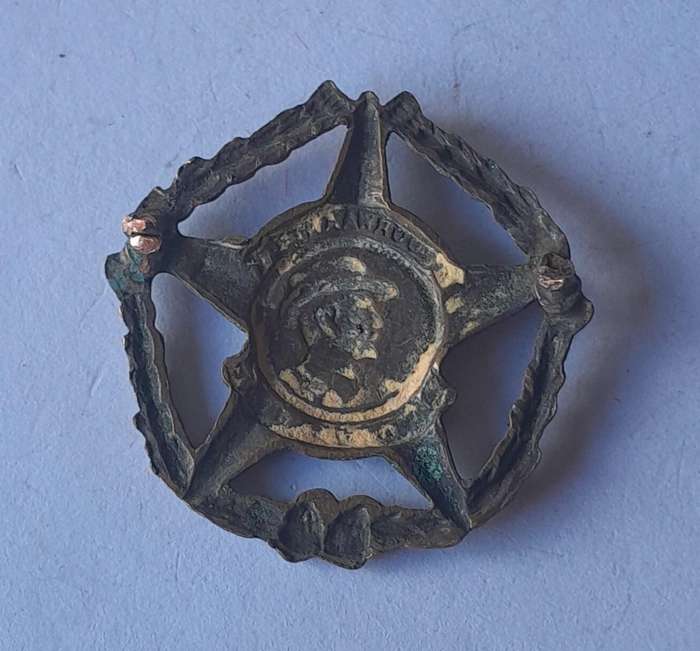 Regiment Botha Collar Badge.  No Lugs.