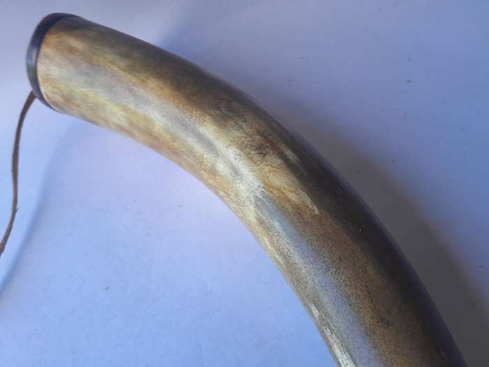 Antique Large Gun Powder Horn With Stopper And Shoulder Strap.  42cm.