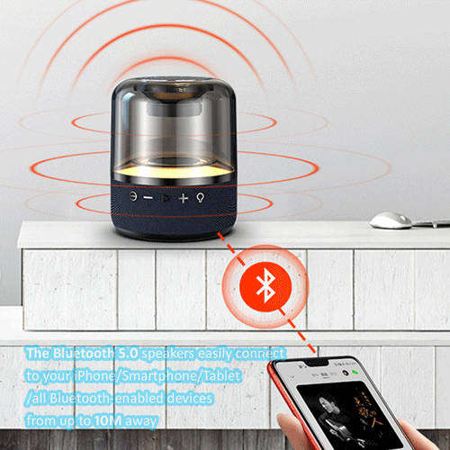 Bluetooth Portable Speaker