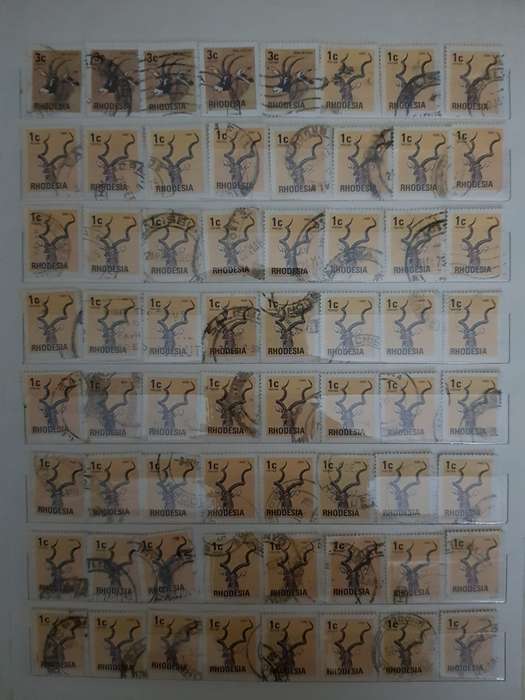 RHODESIA STAMPS USED (BID PER PAGE ,1 BID FOR ALL )