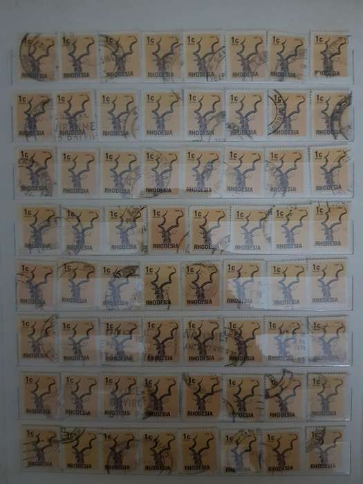 RHODESIA STAMPS USED (BID PER PAGE ,1 BID FOR ALL )