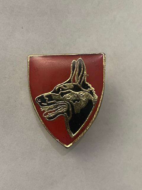 Dog Unit Fob flash all pins
