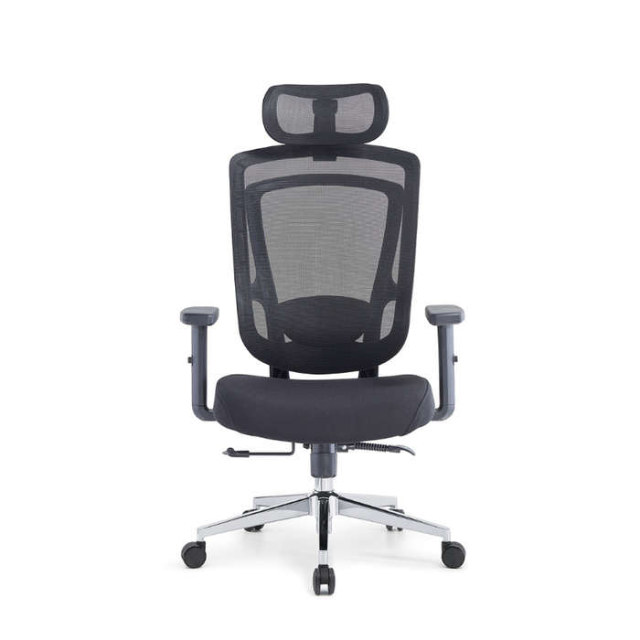 GOF Furniture - Sunny Ergonomic Mesh Office Chair