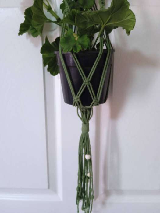 Macrame Plant Hanger - (Forest Green)