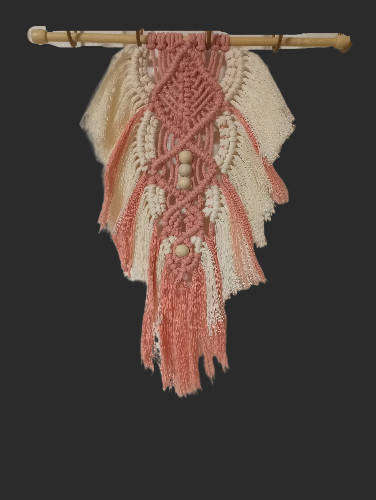 Macrame Wall Hanging Tapestry - (Peach & White Feather)