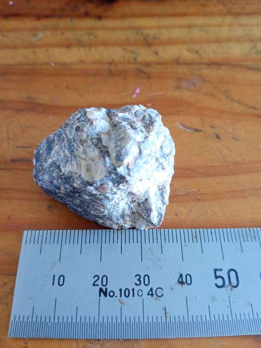 Agate Turritella Rough ATTRACT  ABUNDANCE AND PROTECTIVE
