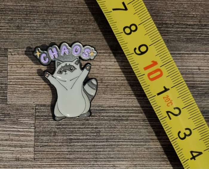 Chaos Raccoon Enamel Pin