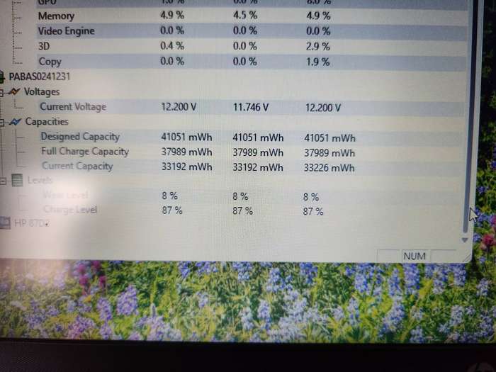Hp Notebook 255 G8 AMD Ryzen 3 + Free Laptop Bag