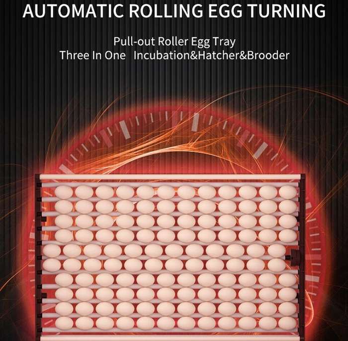 1000 Automatic Egg Incubator -Yz1000