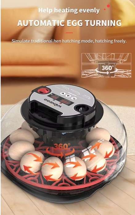 Smart 12 Egg Incubator