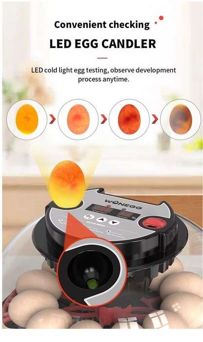 Smart 12 Egg Incubator
