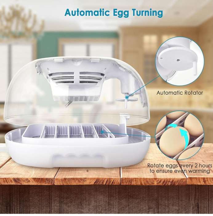 Automatic 16 Egg Incubator