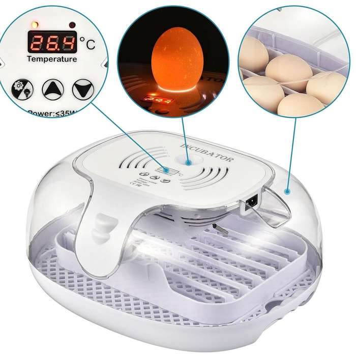 Automatic 16 Egg Incubator