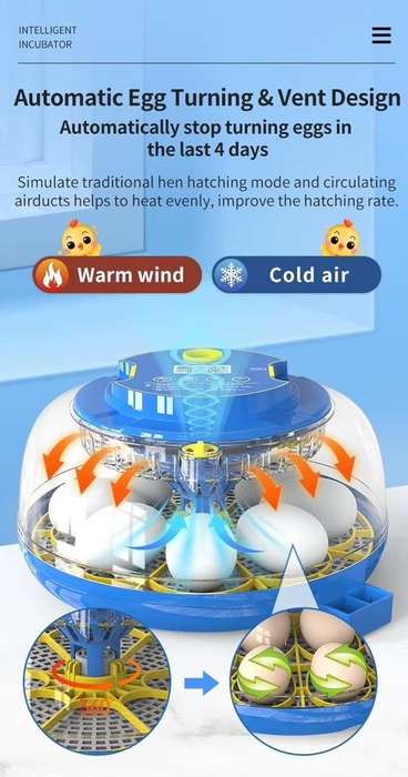 18 Egg incubator