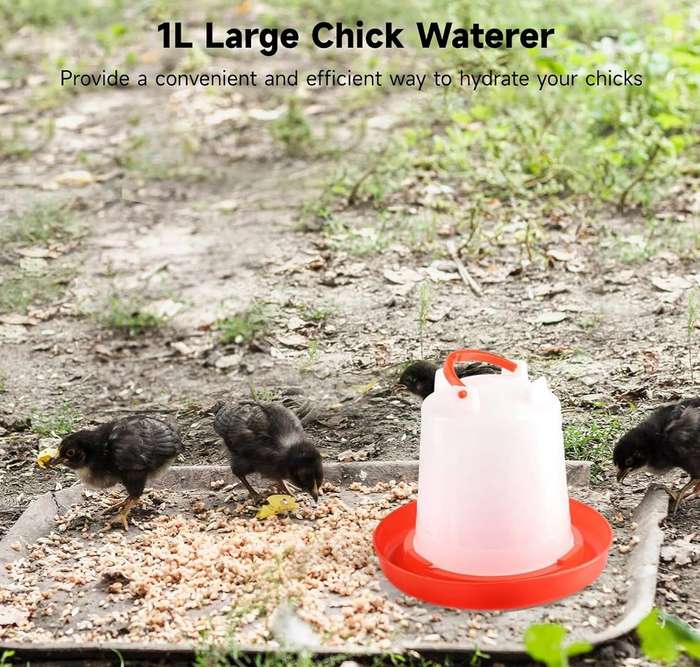 Chicken 1 Litre Drinkers -Pack Of 5
