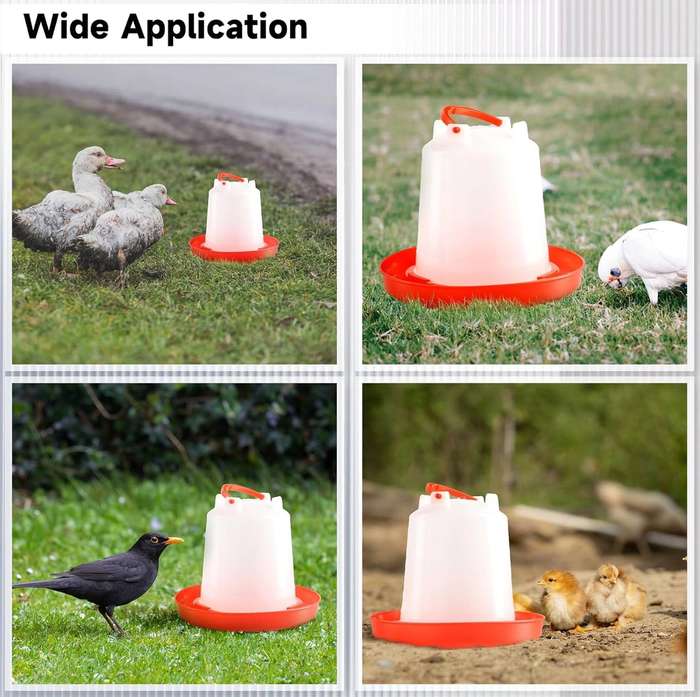 Chicken 1 Litre Drinkers -Pack Of 5