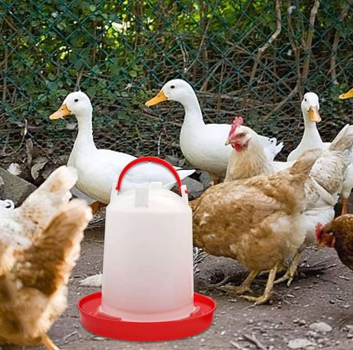 3 Litre Chicken Drinkers -Pack of 5