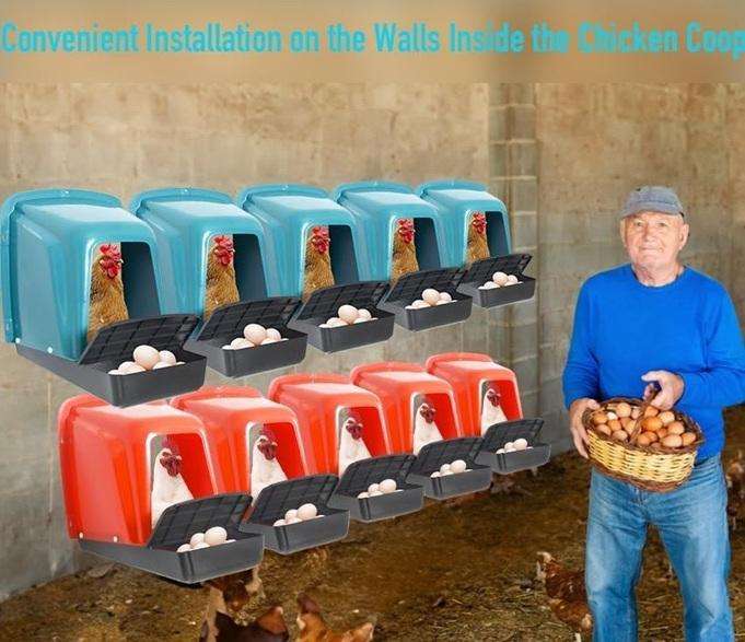 Chicken Nesting Boxes Green -Pack of 3