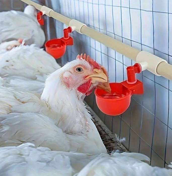 Chicken Waterer PVC Fittings -Pack of 20