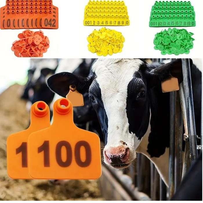 Yellow Cow Ear Tags Numbered 0 to 100-Pack of 100