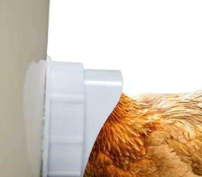 DIY Chicken Feeder Kit