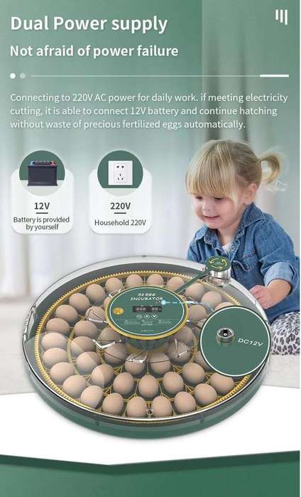 52 Egg Incubator -Dual Power