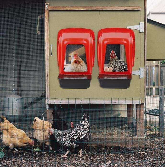 Orange Chicken Nesting Boxes-Pack of 3