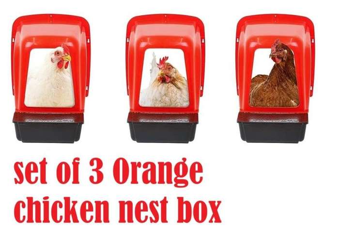 Orange Chicken Nesting Boxes-Pack of 3