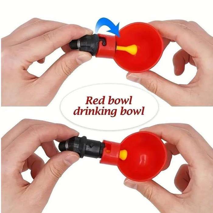 Poultry Drinking Cups