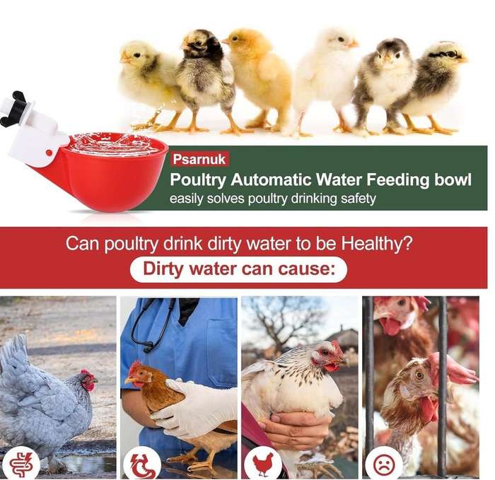 Smooth Chicken Waterer Cups-15 Pieces