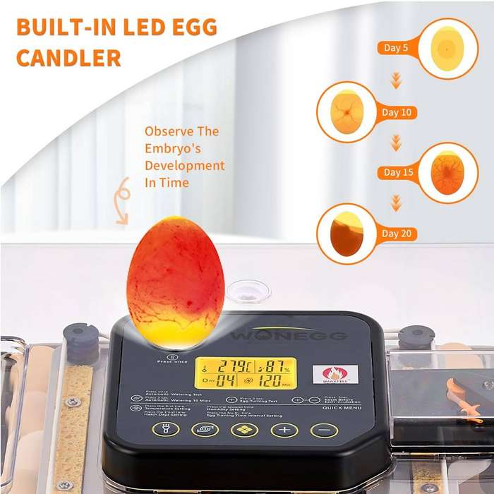 Transparent 48 Egg Incubator -Humidity Controlled-Dual Power. Upgrade.