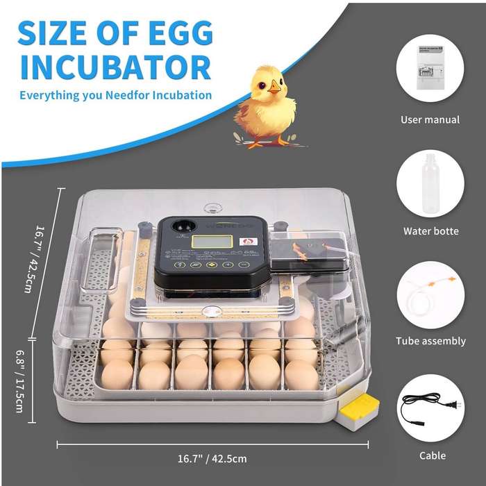 Transparent 48 Egg Incubator -Humidity Controlled-Dual Power. Upgrade.