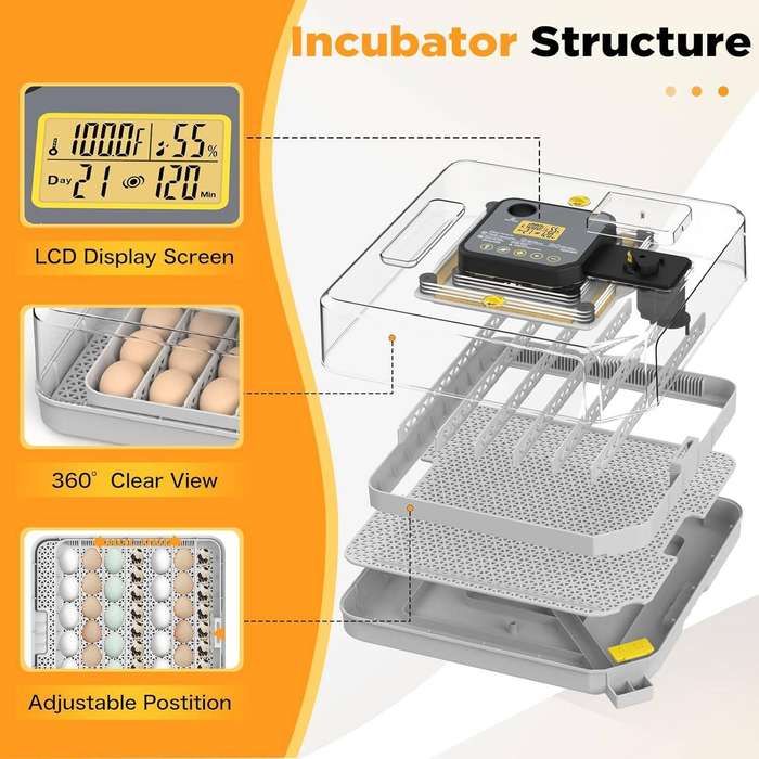 Transparent 48 Egg Incubator -Humidity Controlled-Dual Power. Upgrade.