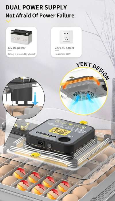 Transparent 48 Egg Incubator -Humidity Controlled-Dual Power. Upgrade.