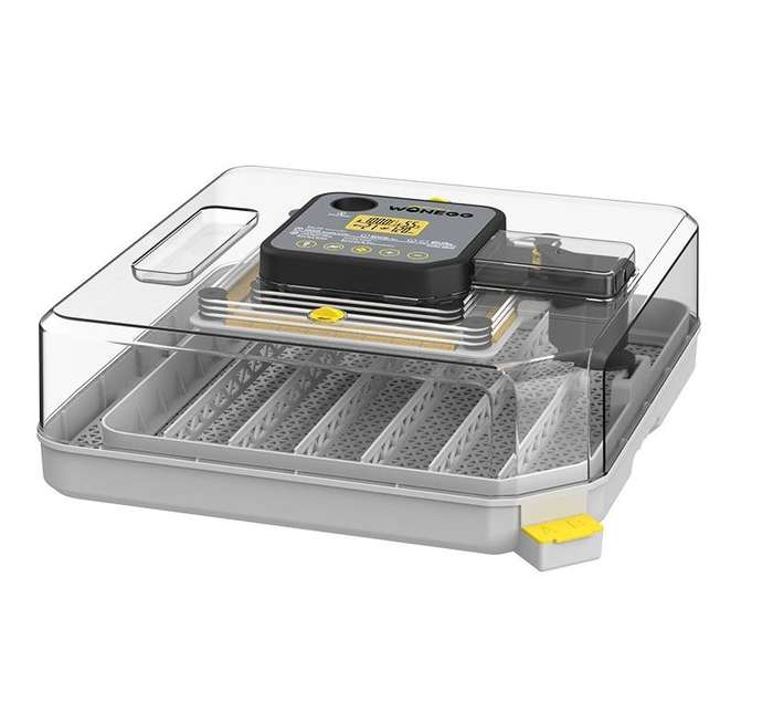 Transparent 48 Egg Incubator -Humidity Controlled-Dual Power. Upgrade.