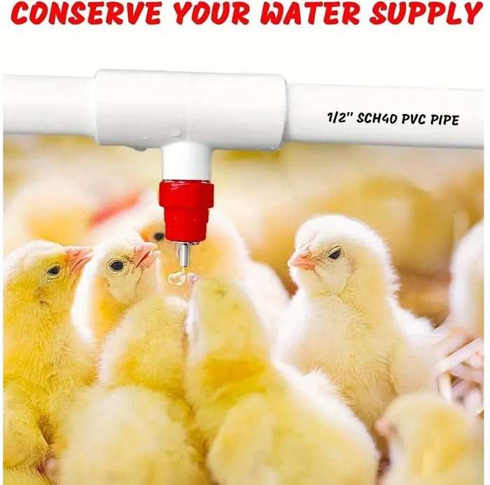 Chicken Waterer Nipples with PVC Tee Fittings-10 Pieces