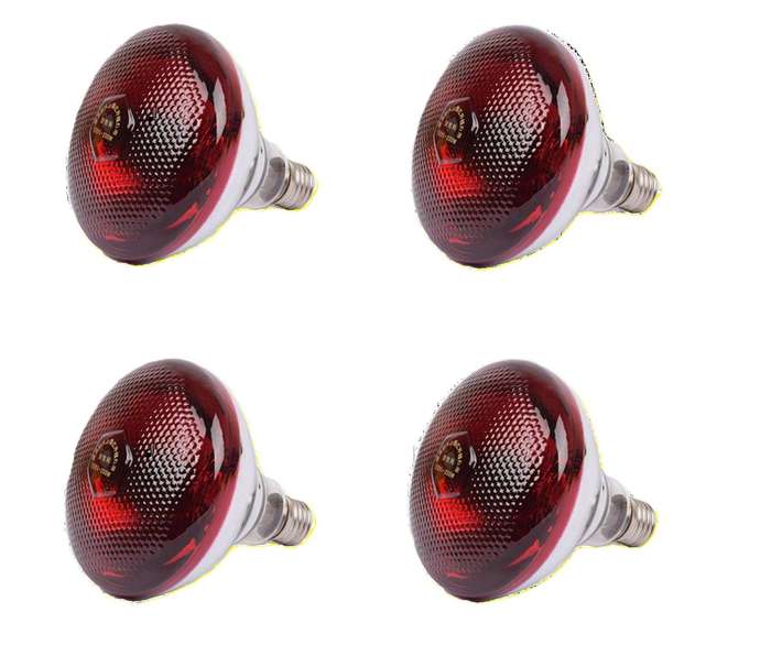 Infared 250-Watt Pok Heat Lights -Pack of 4