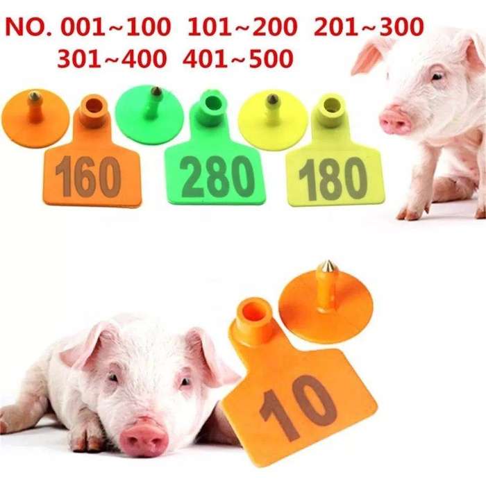 Pig Ear Tags Yellow Numbered 1-100-Pack of 100